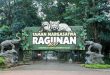 Kebun Binatang Ragunan/Foto: ayojakarta.com
